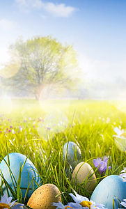 Easter promotion